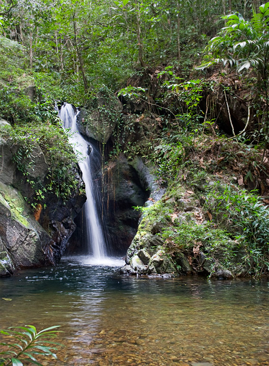 BensBluffFalls_2224.jpg - Waterfall on a trail within the 150 square mile Cockscomb Wildlife Sanctuary.