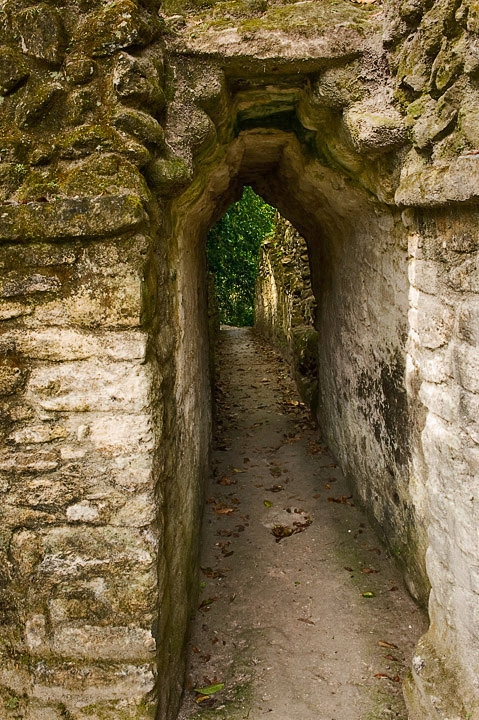 CahalPechPassage_1618.jpg - Passageway out of main plaza at Cahal Pech. The corbelled arch seen here is typical Mayan construction.