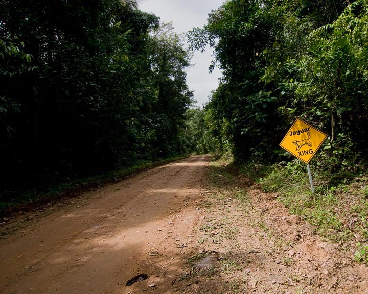 Cautionb_8274.jpg - On the road to the Cockscomb Jaguar preserve. It was estimated that there were over 70 jaguars living within the preserve, although, we only saw one in the Belize Zoo,