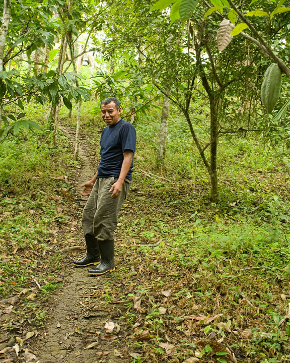 Eladio_2304.jpg - Eladio is explainig that this is not a footpath that he has made through his farm, but is the trail made by leaf cutter ants.