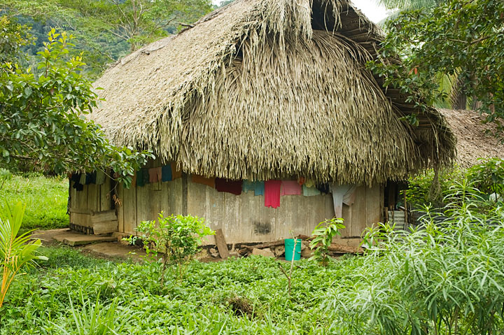 LagunaLaundryHouse_2470.jpg - Another house in Laguna. The plam-thatched roof is pretty typical construction for much of Belize.