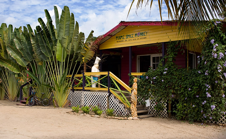 PurpleSpaceMonkey.jpg - Jono, one of our guides,  told us this was his favorite bar in Placencia. They had a DJ playing reggae music and he kindly played some Jimmy Cliff for me.