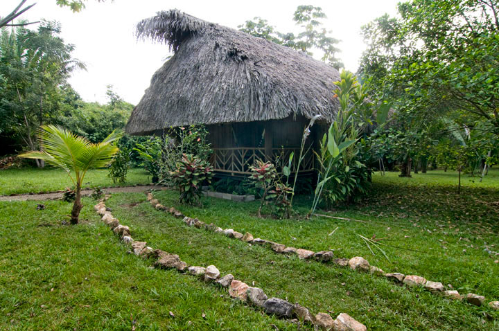 SunCreekVilla_8383.jpg - This is the villa that was my home for three days at Sun Creek. I awoke one morning to find a snake skin on the floor near the foot of my bed. It was determined that it was  not  that of a Fer-de-Lance, but merely a tiger rat snake. I think the probably fell from the rafters up in the thatched roof/ceiling.