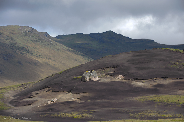 Antisana-3079.jpg - The Paramo near Antisana