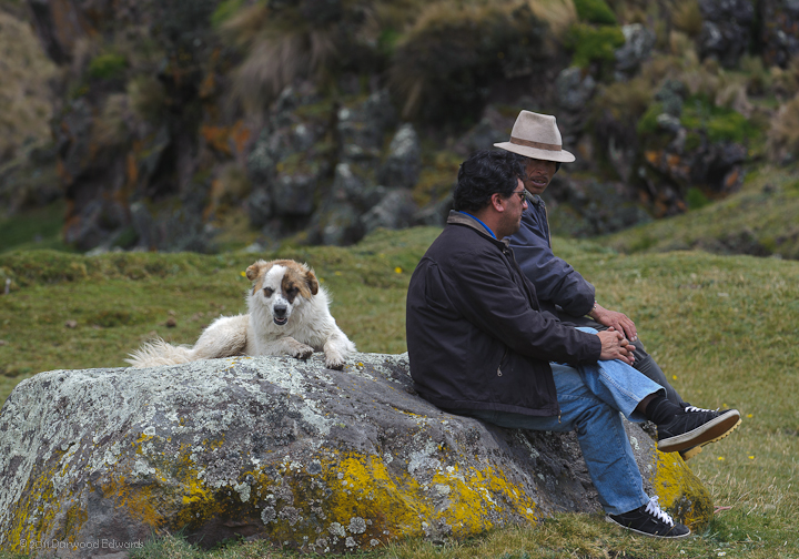 AntisanaConversation-3221.jpg - Our exceptional driver, Carlos, (nearest the camera) takes a moment to chat with  a local herder near at the Antisana Hacienda