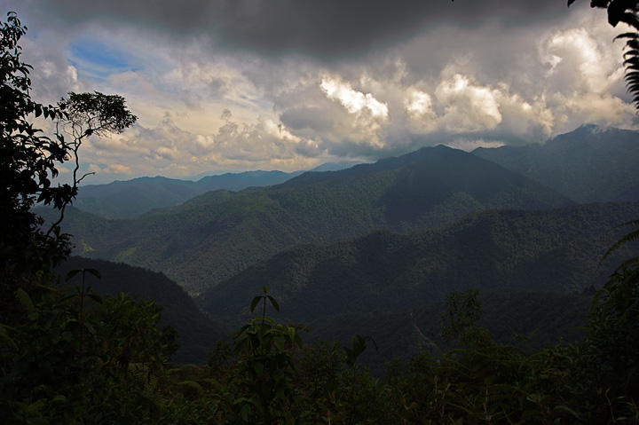 UpperRoad_1012.jpg - Panorama from the Upper Tandayapa Road.